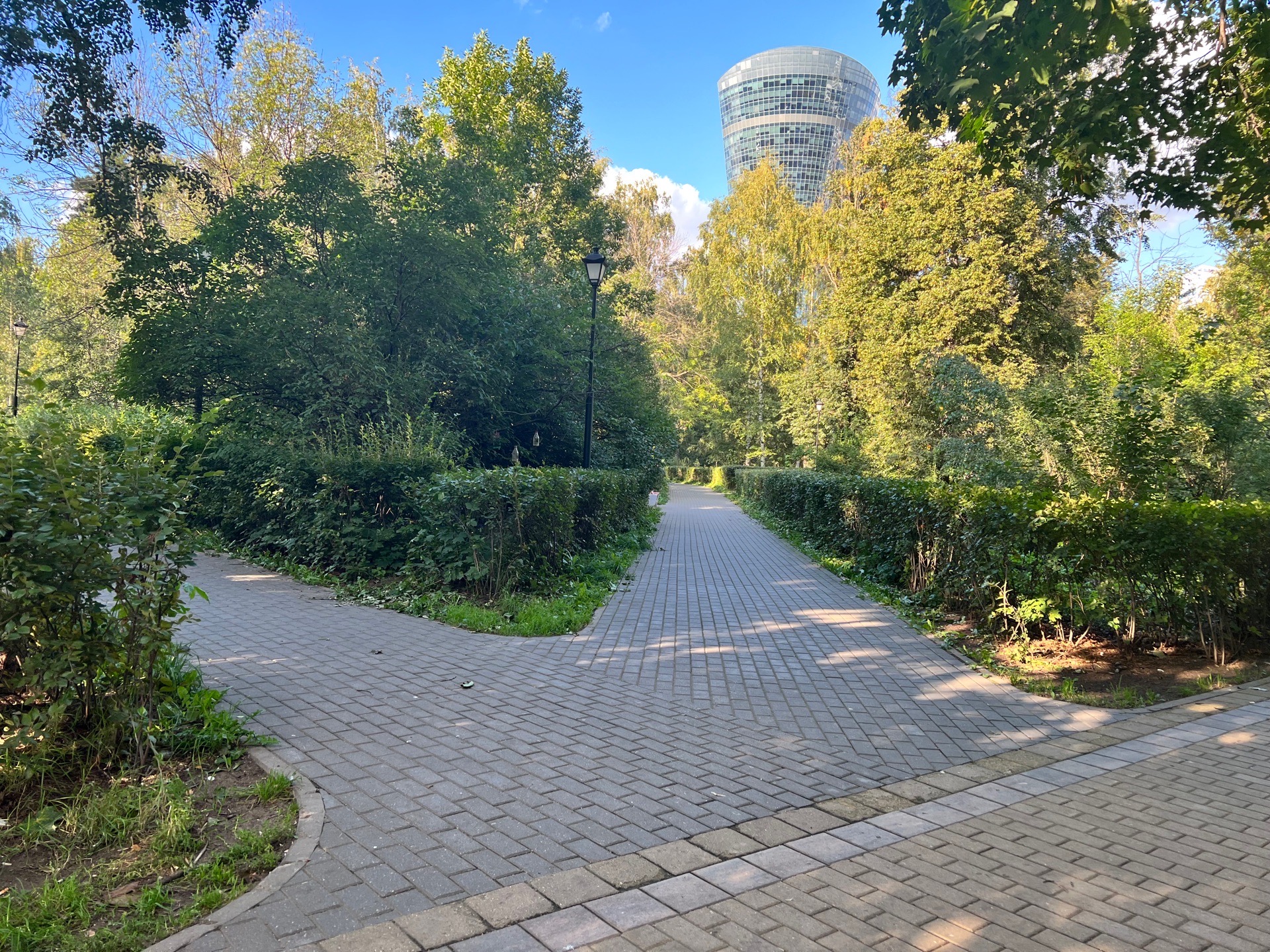 Заголовок